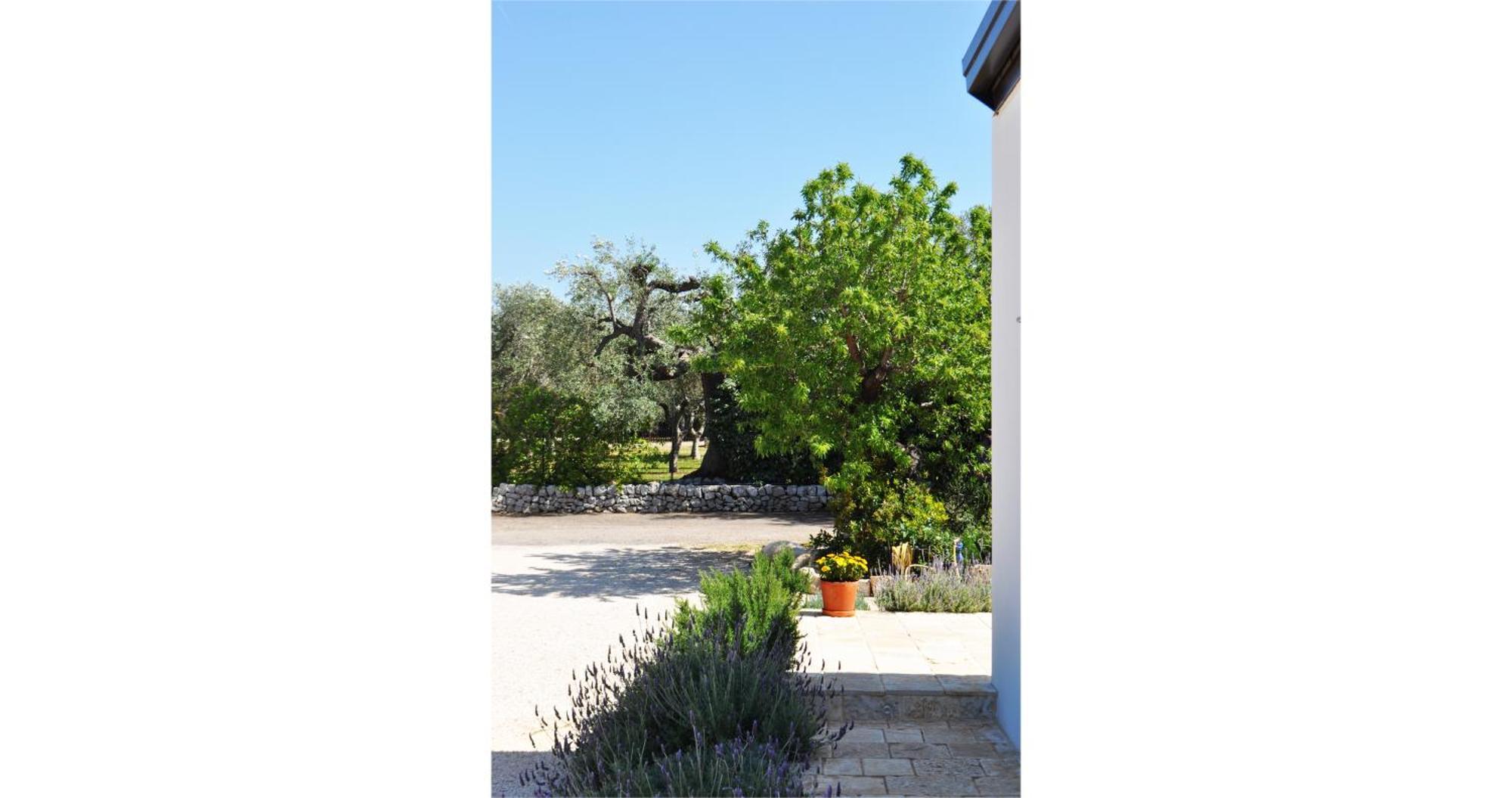 Casale Petrarolo Bed and Breakfast Monopoli Exteriör bild
