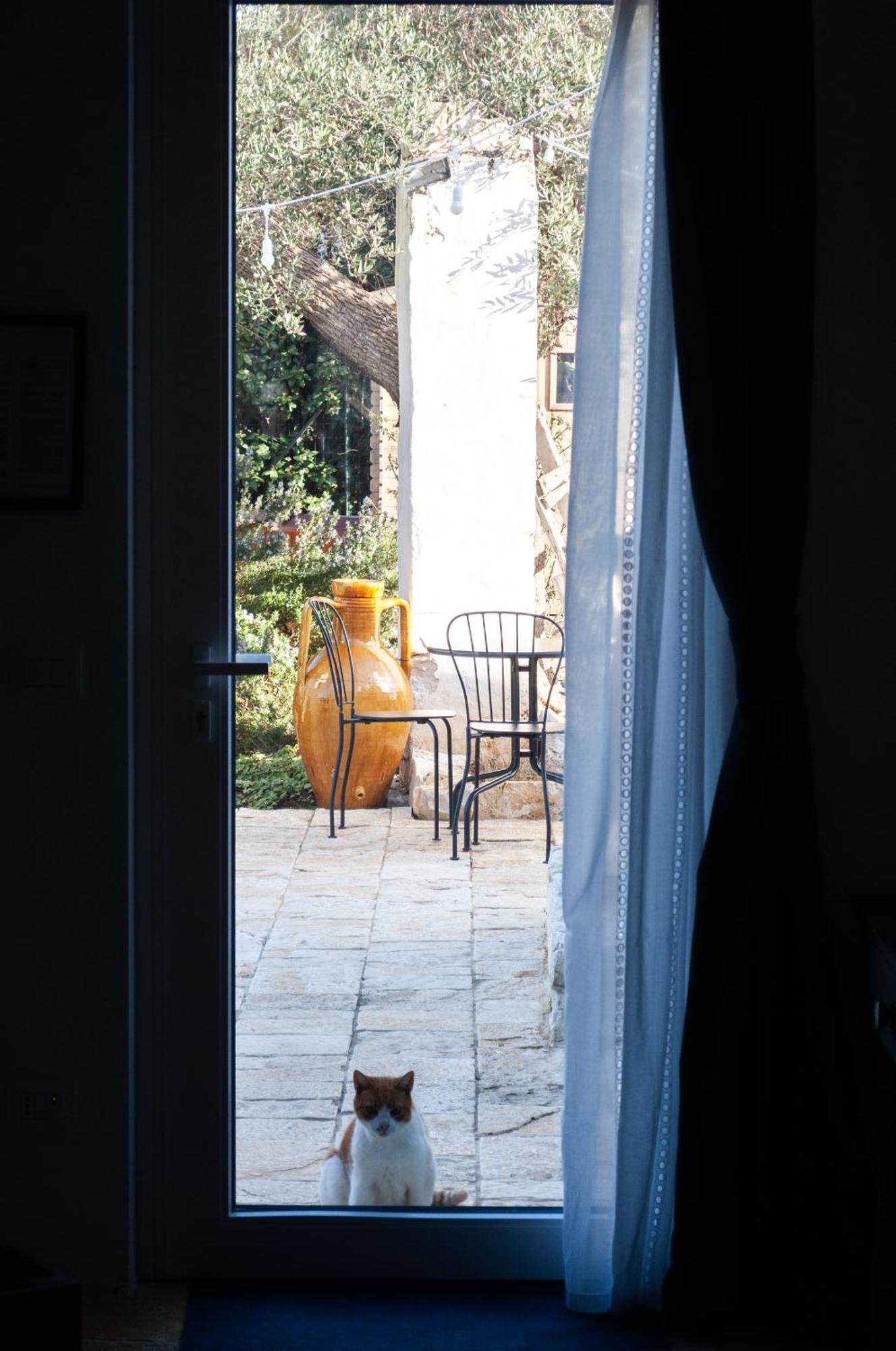 Casale Petrarolo Bed and Breakfast Monopoli Exteriör bild